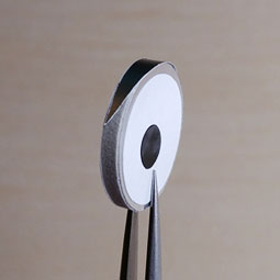 A close up of Scoops eye